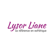 Lysor Liane 31 - Reset Informatique